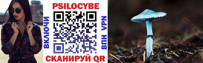 Псилоцибиновые грибы Psilocybe купить наркоту Россошь